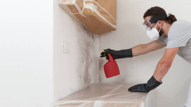 Professional Mold Remediation technician working in McQueeney, TX