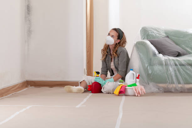 Reliable Mold Remediation contractor in McQueeney, TX by WQB Mold Removal